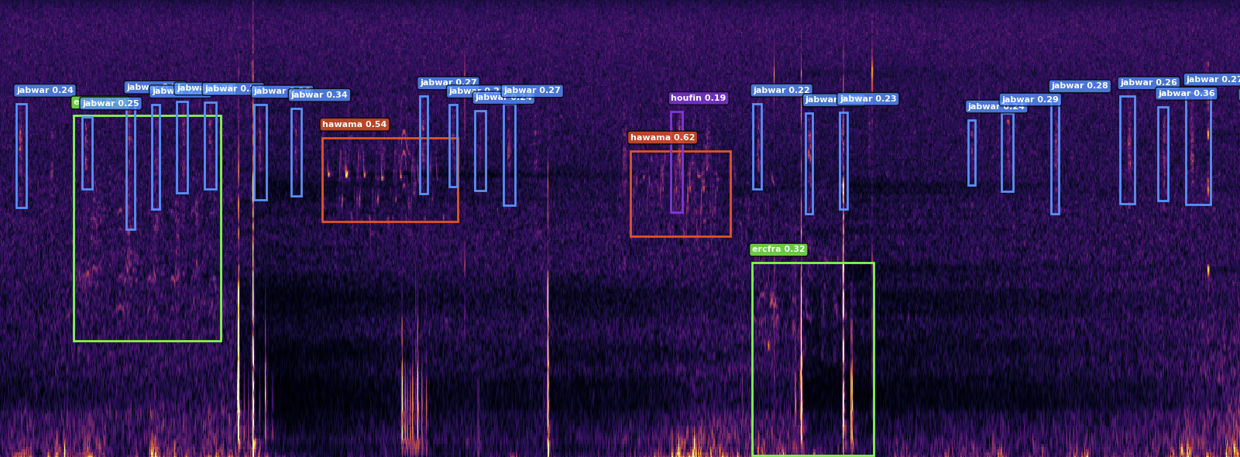 Detection Visualization