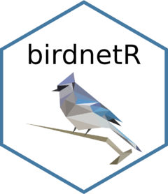 https://birdnet-team.github.io/birdnetR/logo.png?utm_source=chatgpt.com